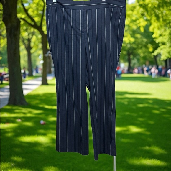 Ann Taylor Dark Blue Striped Ankle Pants - Picture 1 of 5
